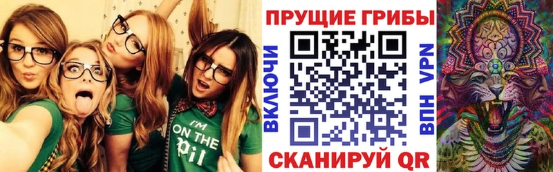 ОМГ ОМГ онион  Тольятти  Псилоцибиновые грибы Psilocybine cubensis  купить закладку 