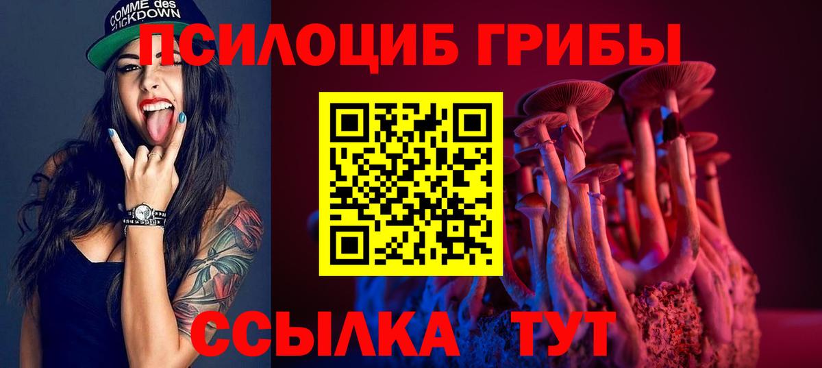 Тольятти  Псилоцибиновые грибы мухоморы  Вход с VPN 
